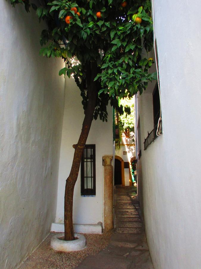 Cordoba Con Encanto Lubi I Kültér fotó